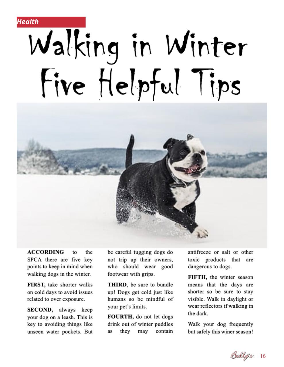 Bully’s - The Bulldog Magazine Preview Pages