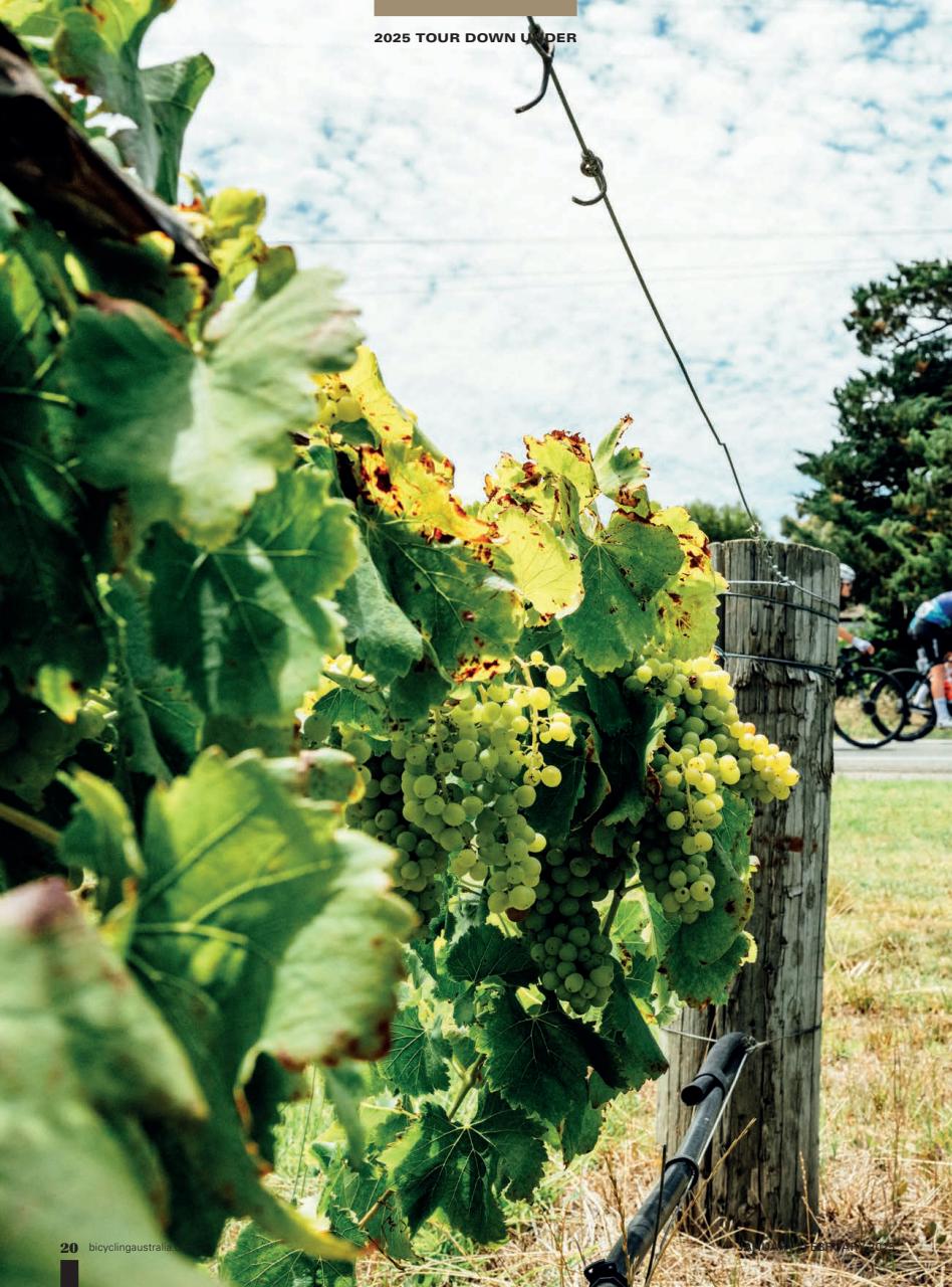 Bicycling Australia Preview Pages