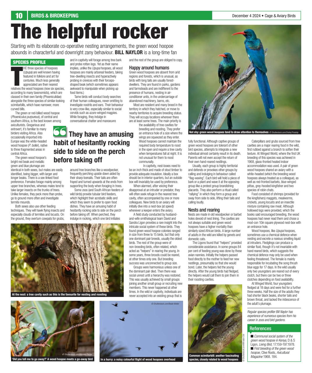 Cage & Aviary Birds Preview Pages