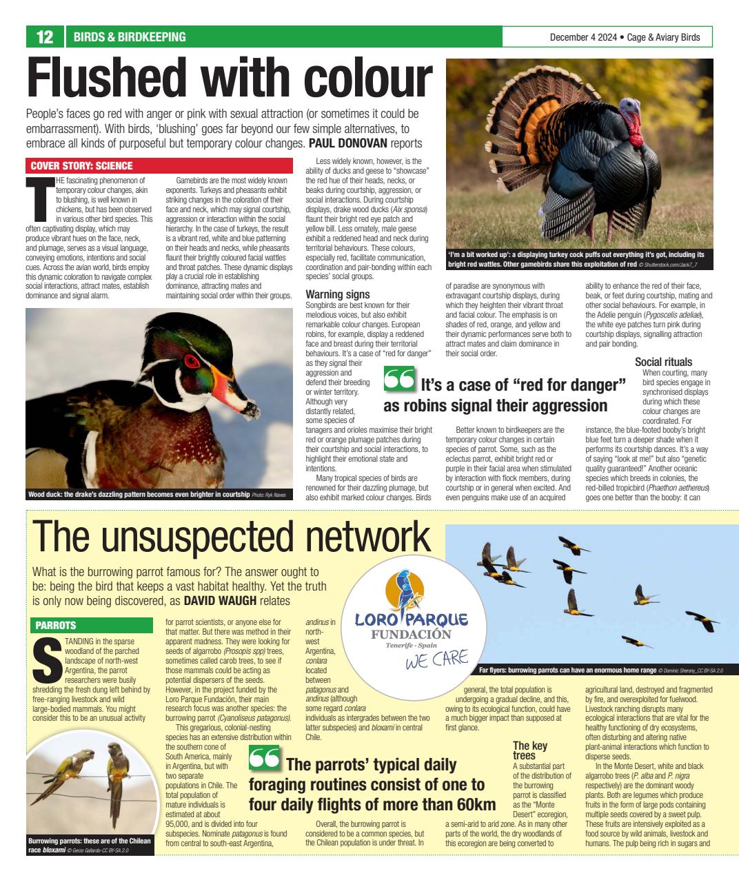 Cage & Aviary Birds Preview Pages