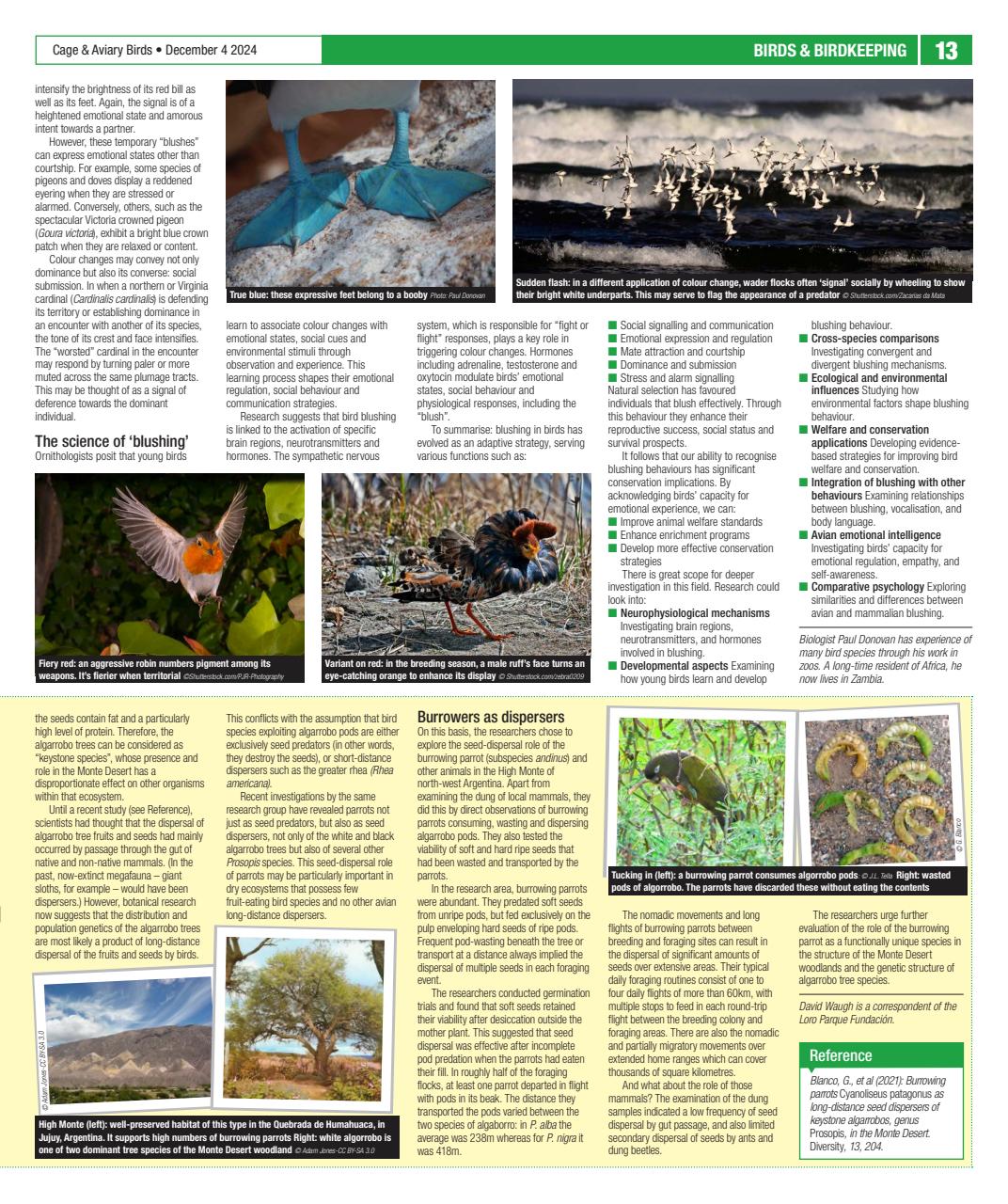 Cage & Aviary Birds Preview Pages