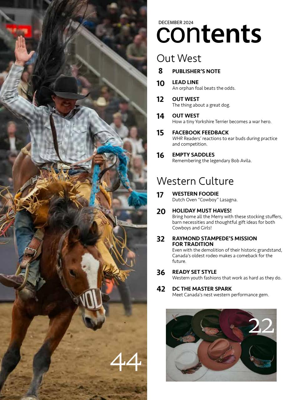 Western Horse Review Preview Pages
