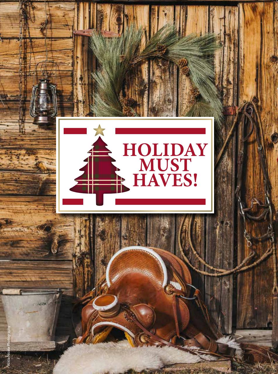 Western Horse Review Preview Pages