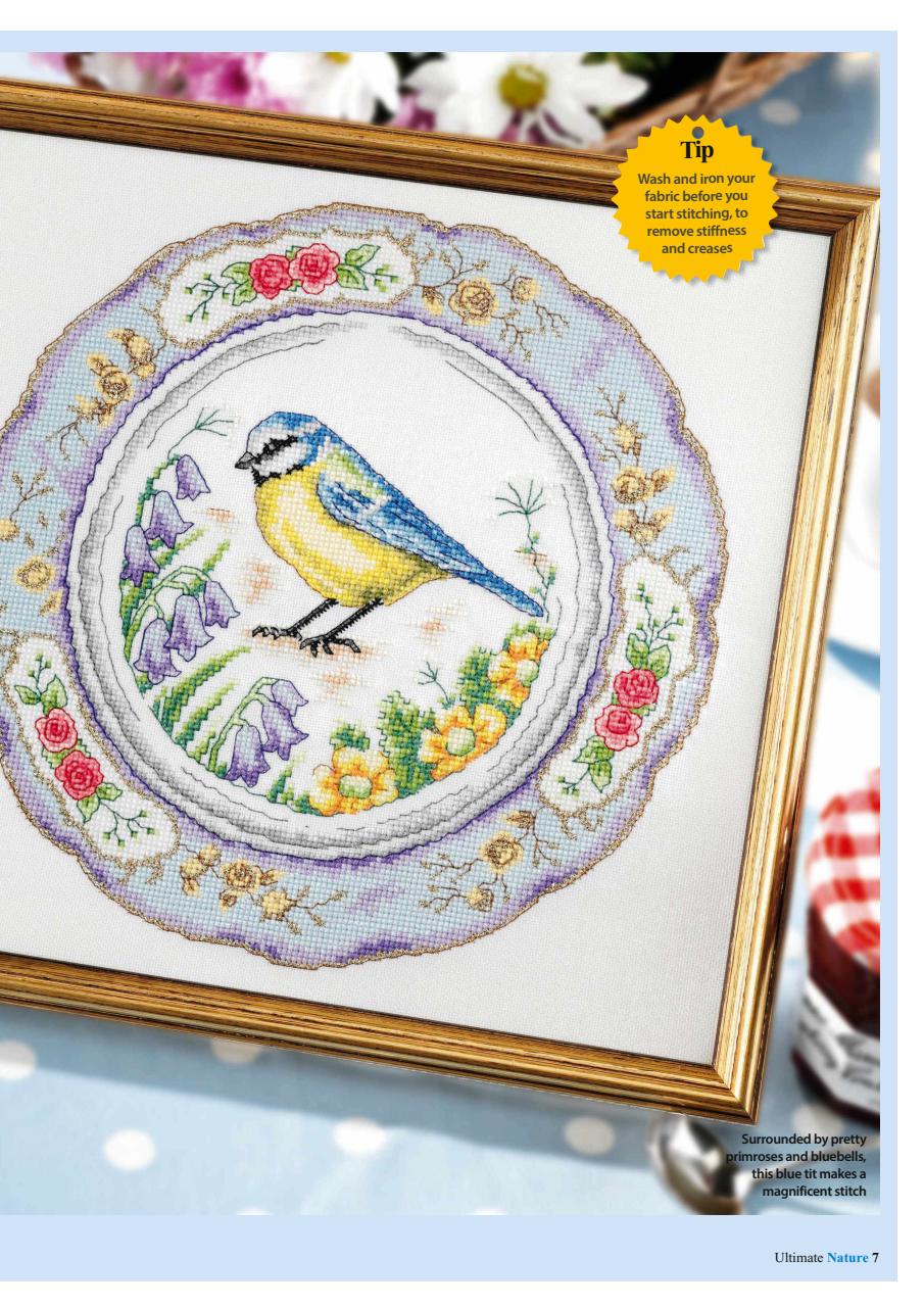 The World of Cross Stitching Preview Pages