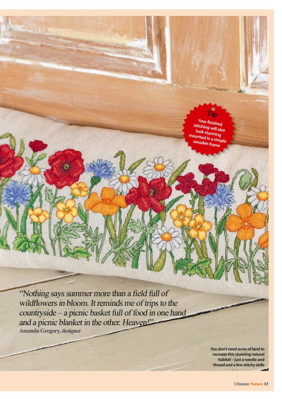 The World of Cross Stitching Preview Pages