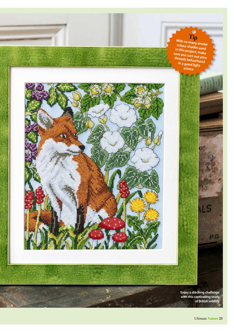 The World of Cross Stitching Preview Pages