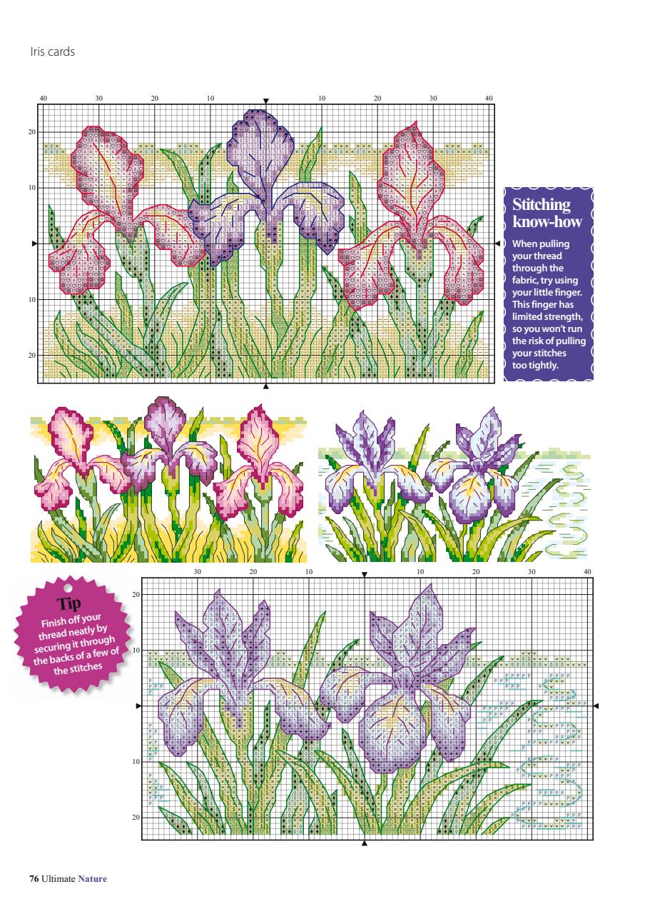 The World of Cross Stitching Preview Pages