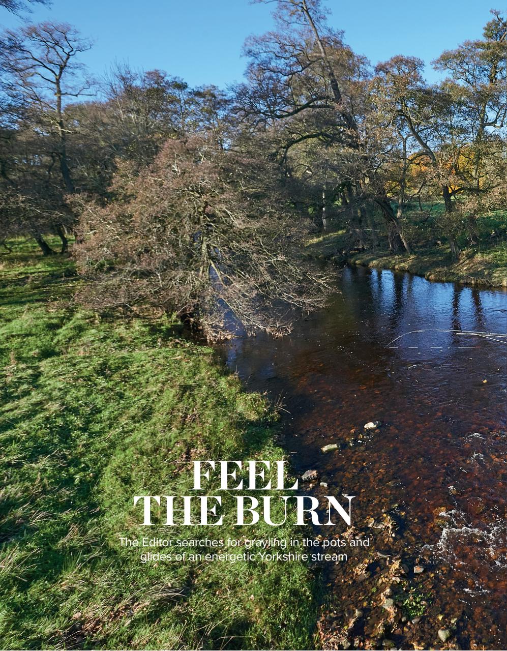 Trout & Salmon Preview Pages