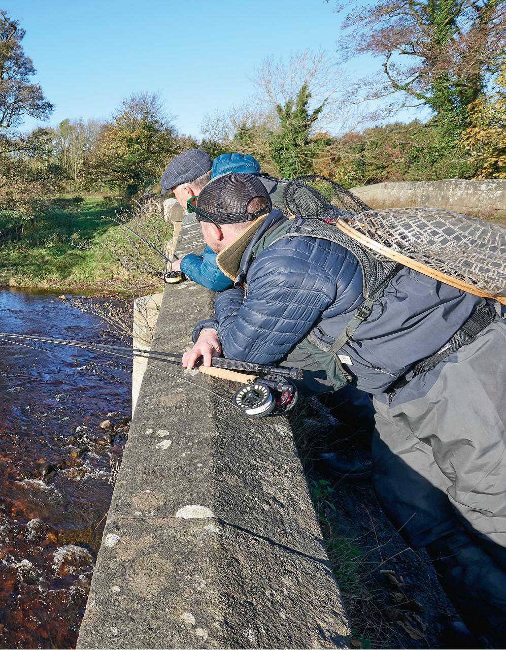 Trout & Salmon Preview Pages