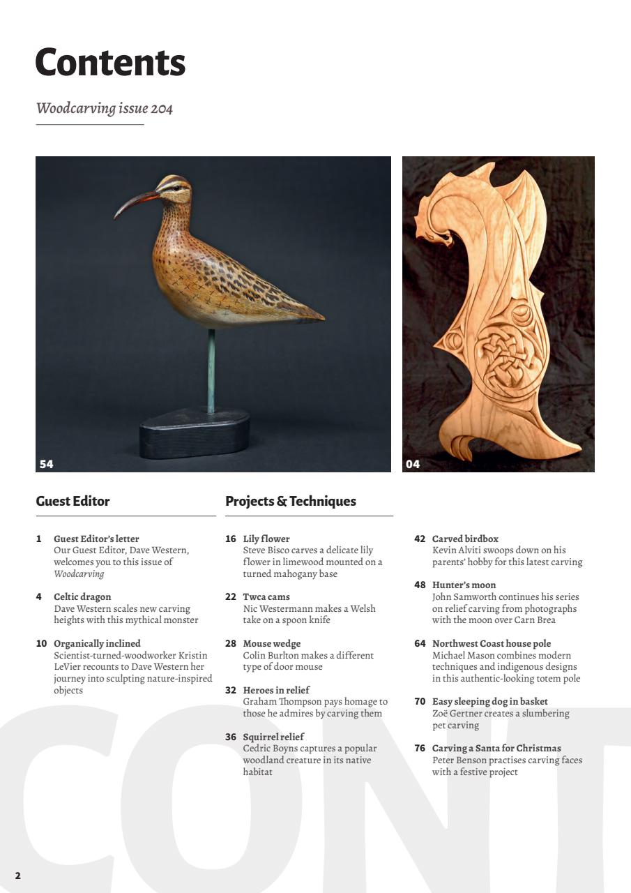 Woodcarving Preview Pages