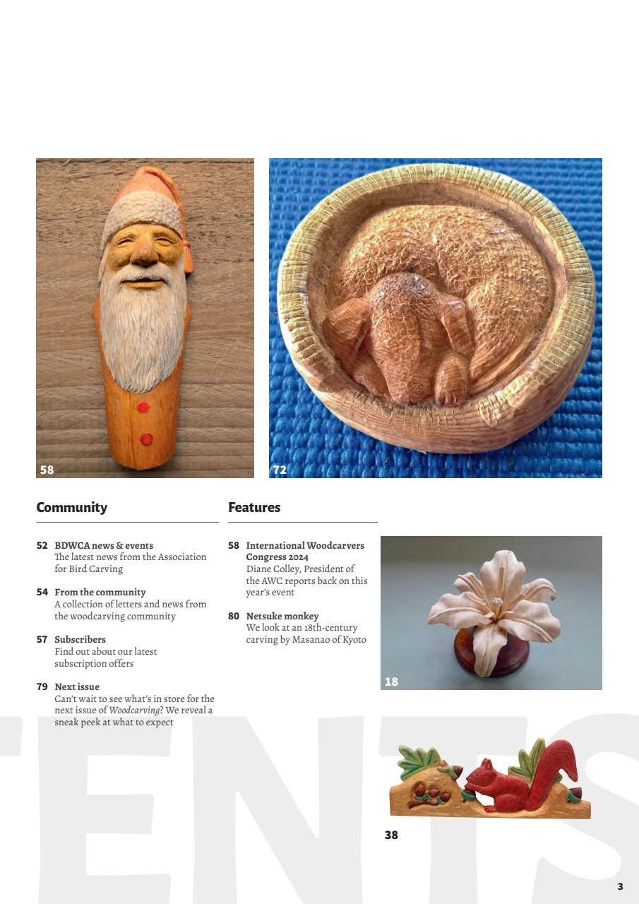 Woodcarving Preview Pages