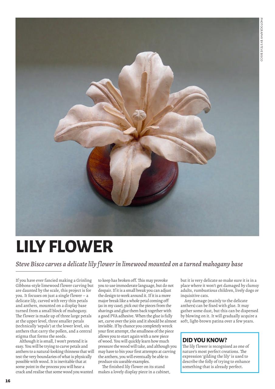 Woodcarving Preview Pages