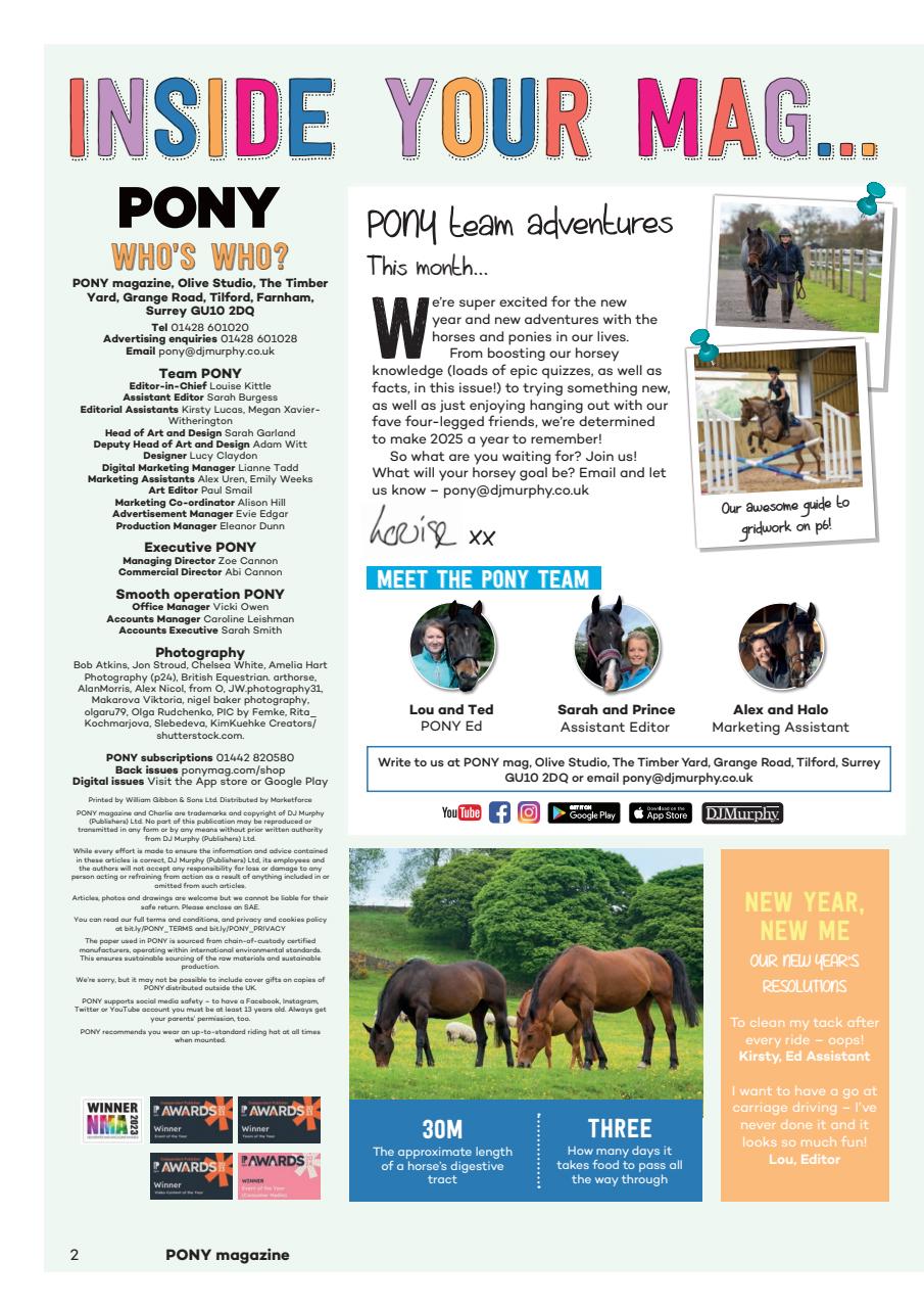 Pony Magazine Preview Pages