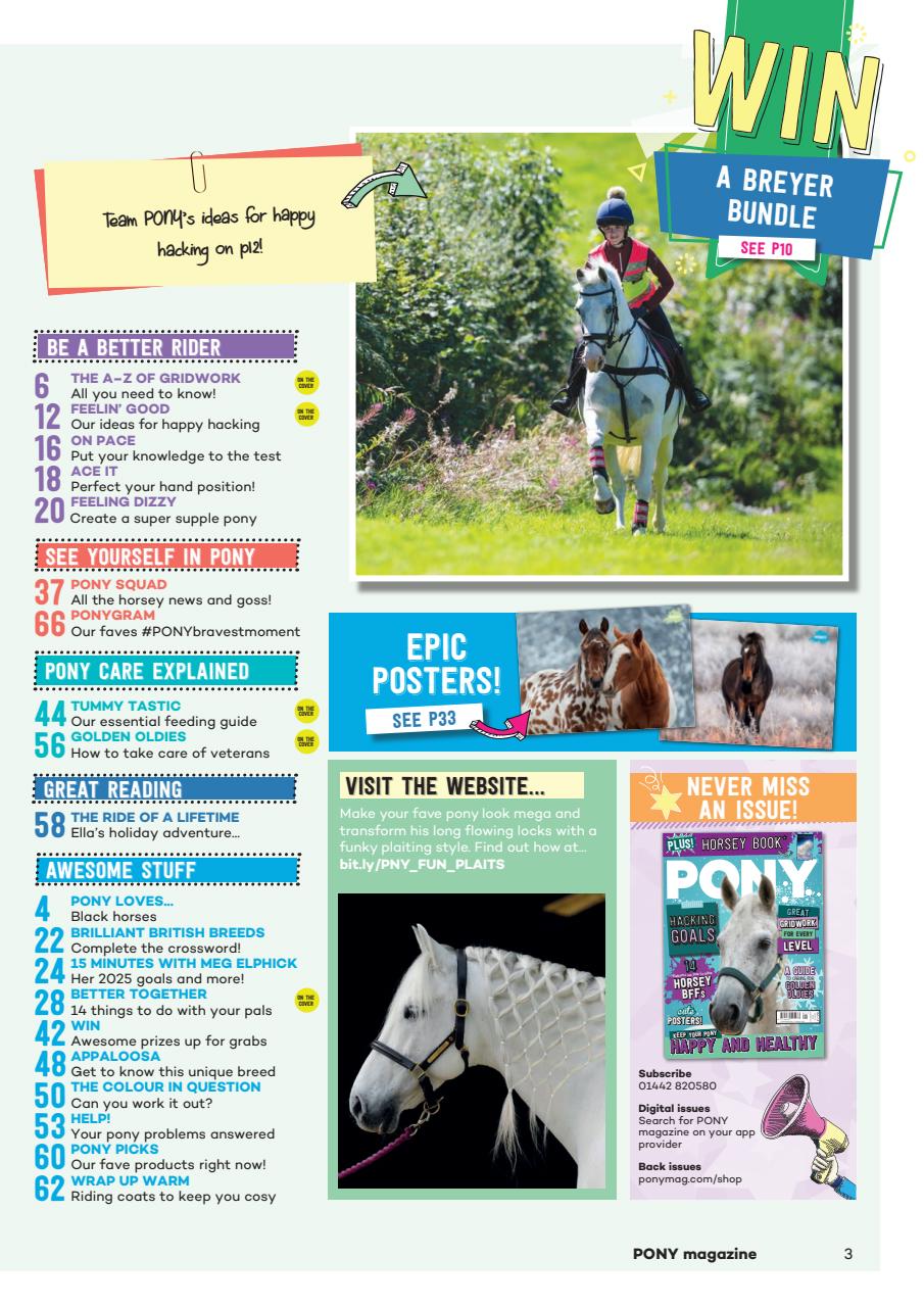 Pony Magazine Preview Pages