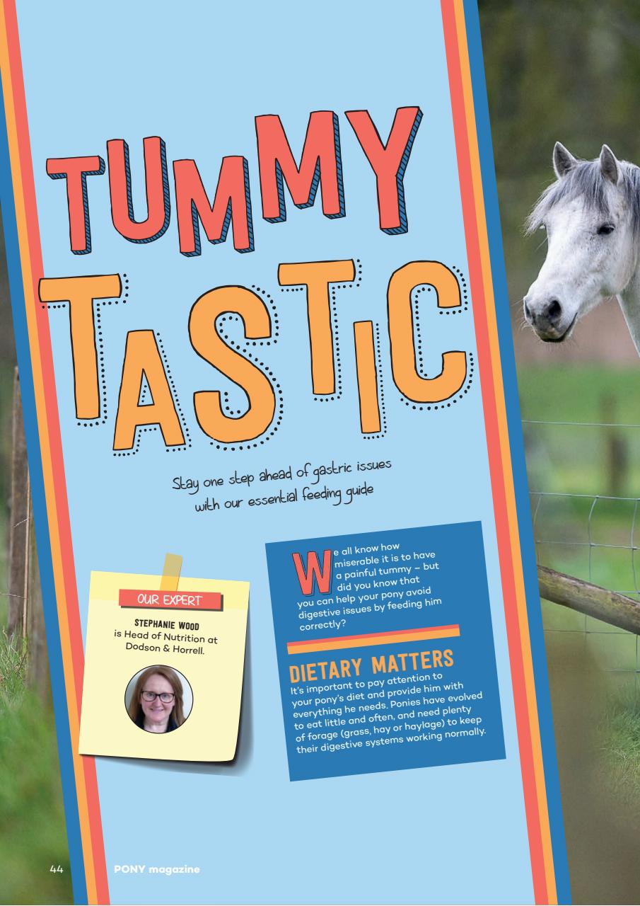 Pony Magazine Preview Pages