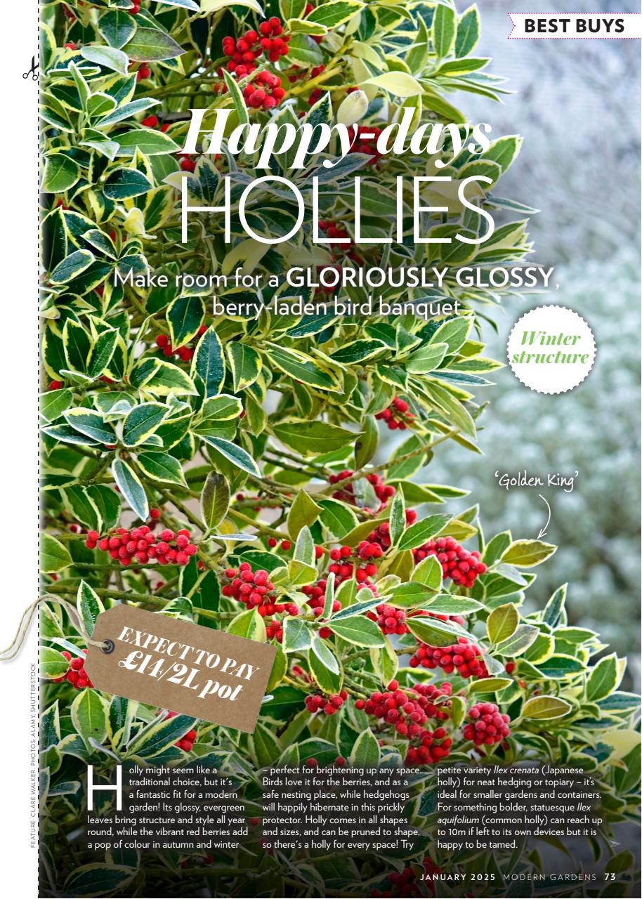 Modern Gardens Preview Pages