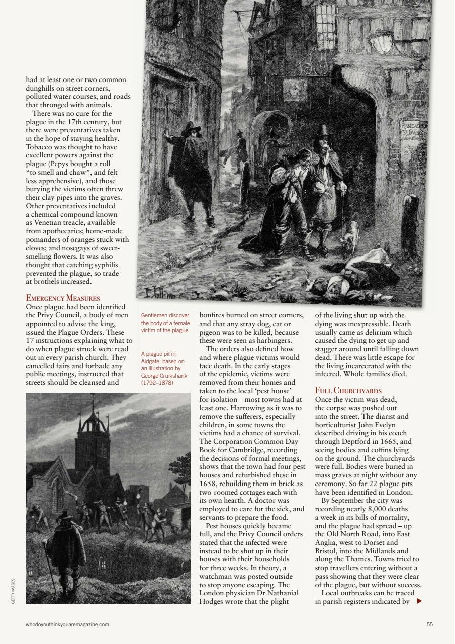 Who Do You Think You Are? Preview Pages