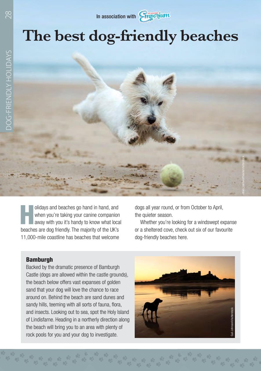 Camping Preview Pages