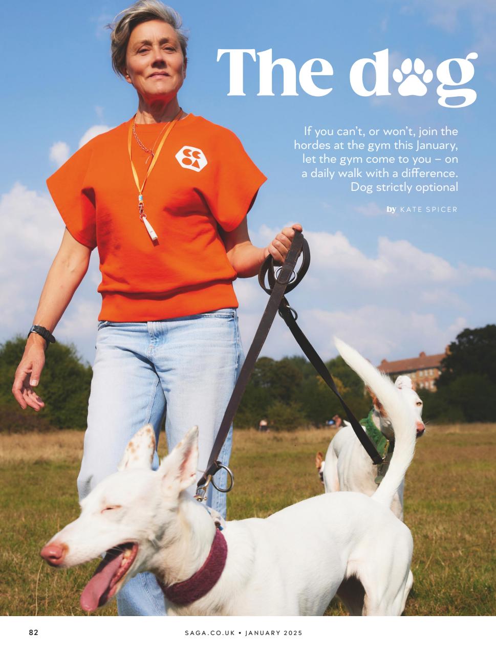 Saga Magazine Preview Pages