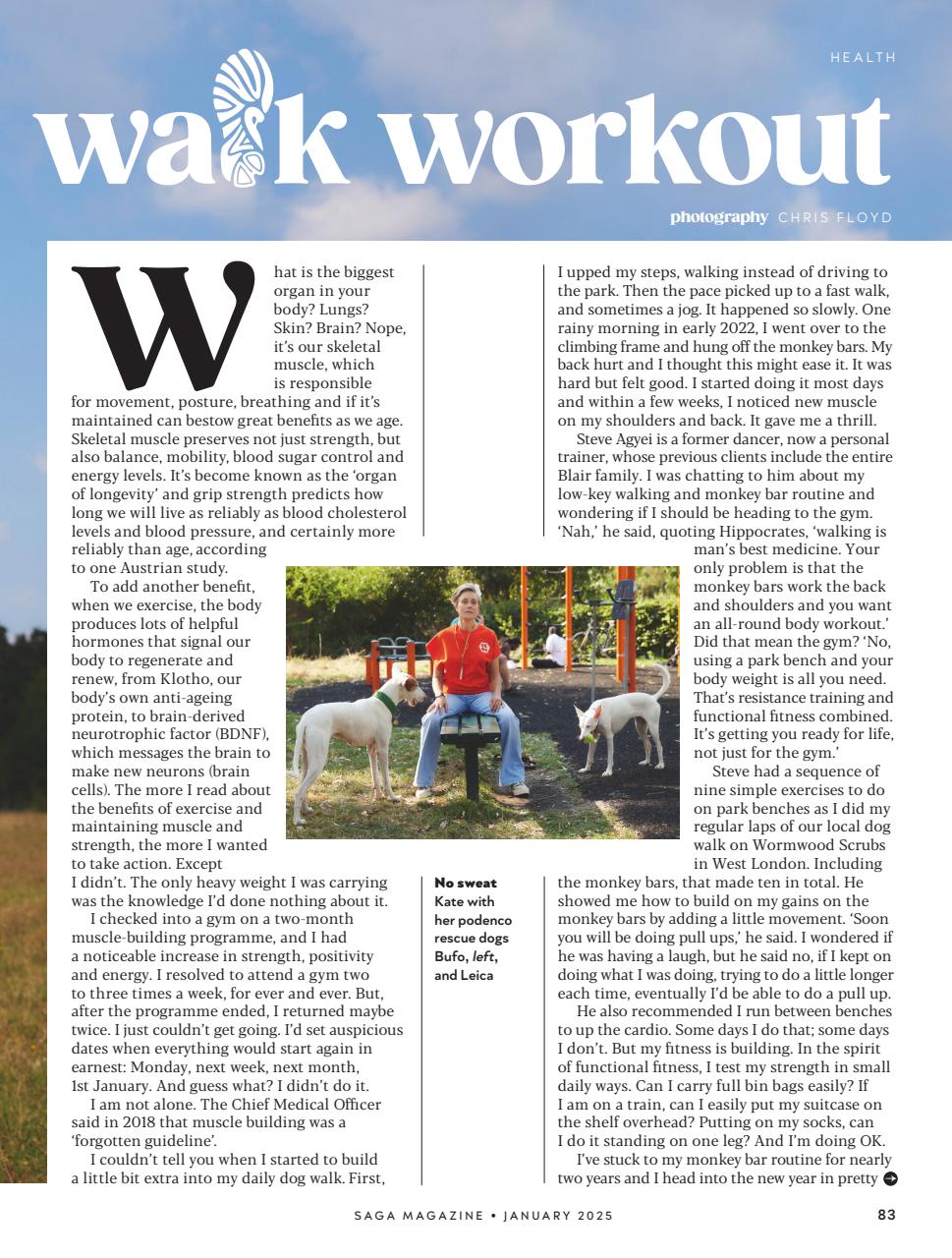 Saga Magazine Preview Pages