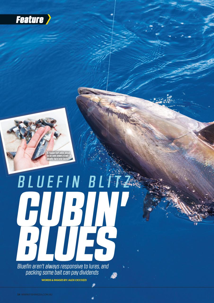 Fishing SA Preview Pages