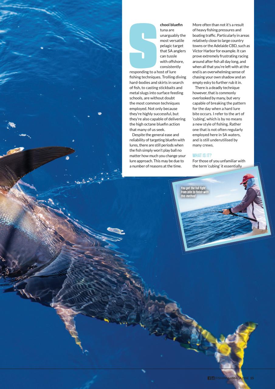 Fishing SA Preview Pages