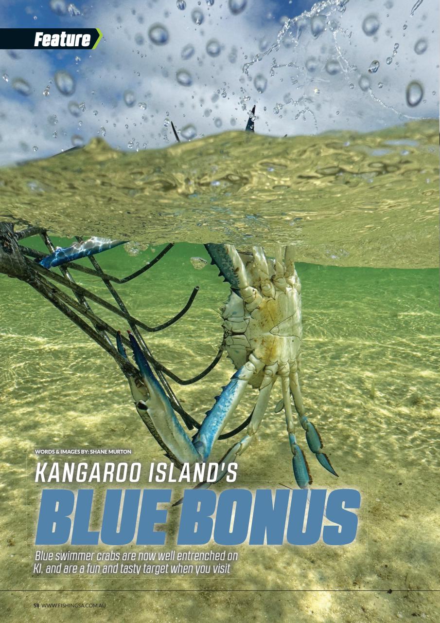 Fishing SA Preview Pages