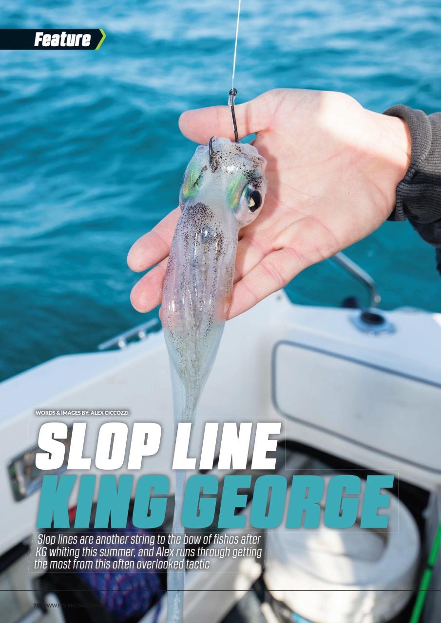 Fishing SA Preview Pages