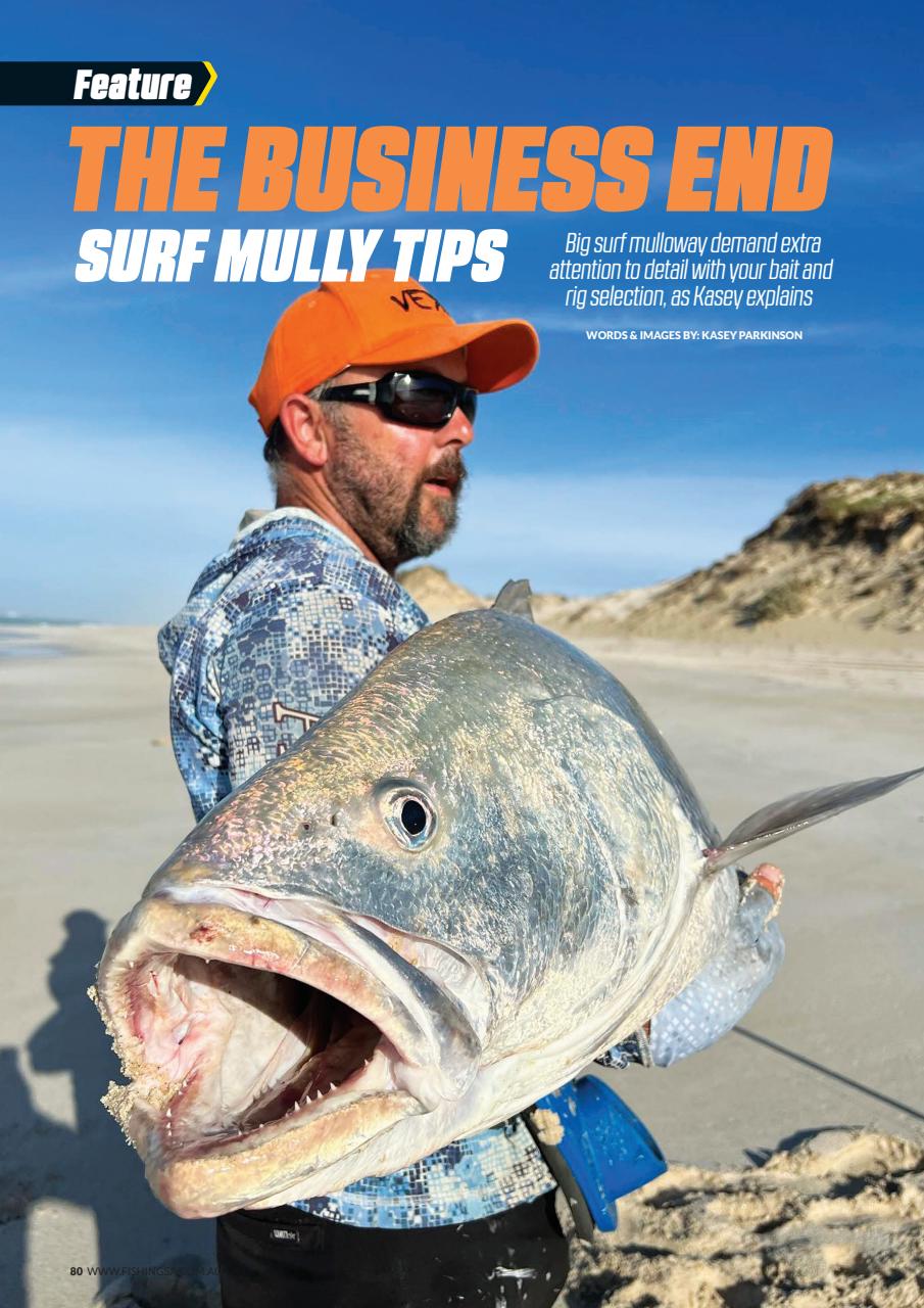 Fishing SA Preview Pages