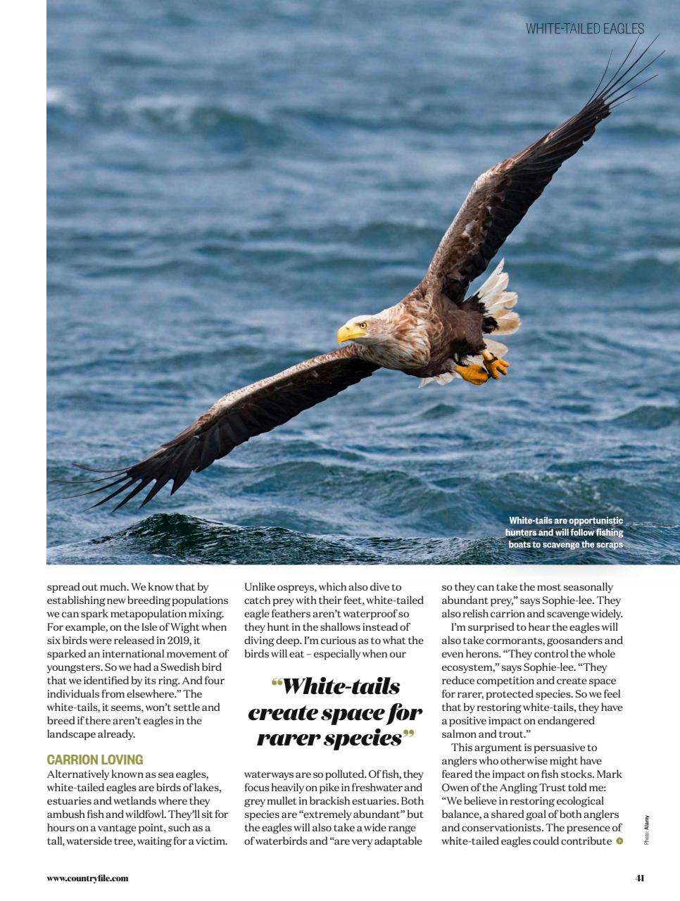 BBC Countryfile Magazine Preview Pages