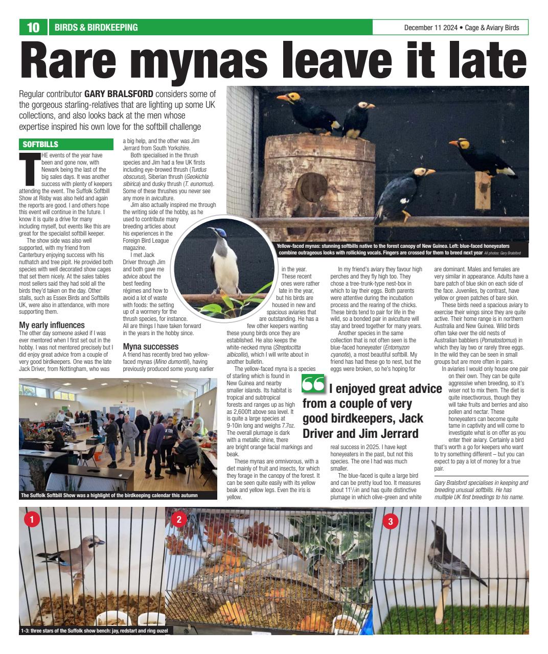 Cage & Aviary Birds Preview Pages