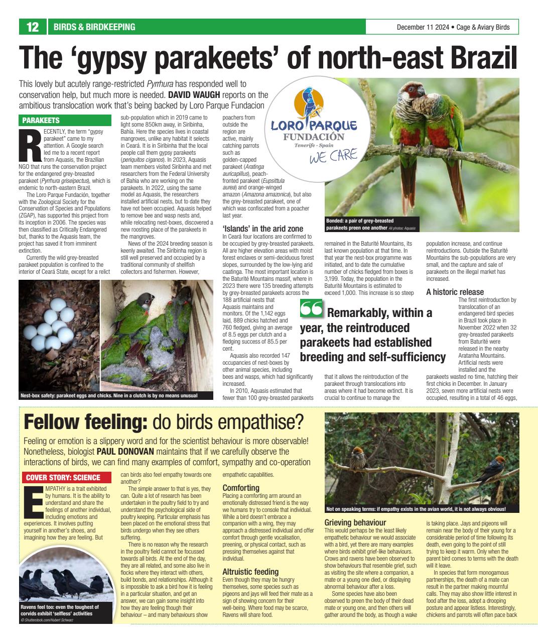 Cage & Aviary Birds Preview Pages