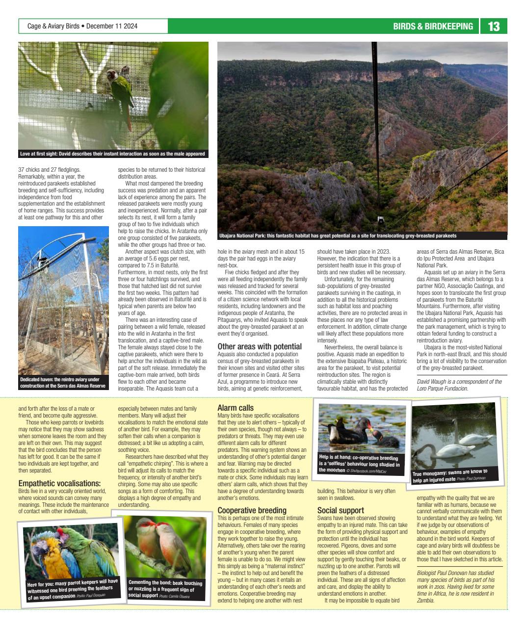 Cage & Aviary Birds Preview Pages