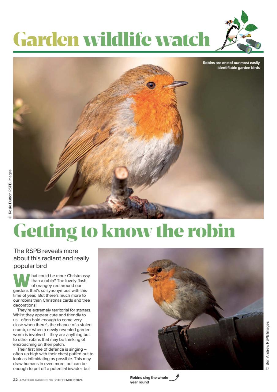 Amateur Gardening Preview Pages