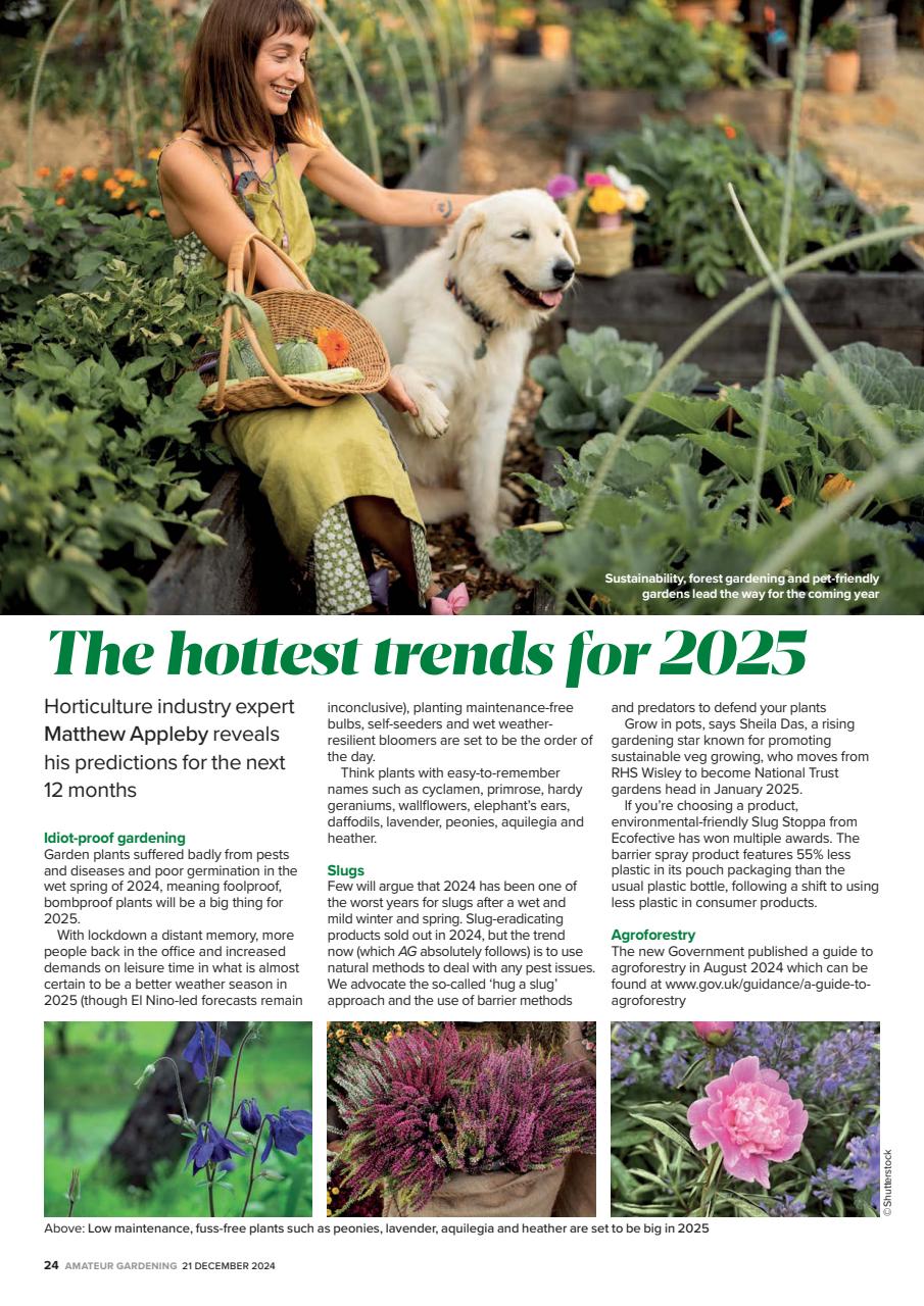 Amateur Gardening Preview Pages
