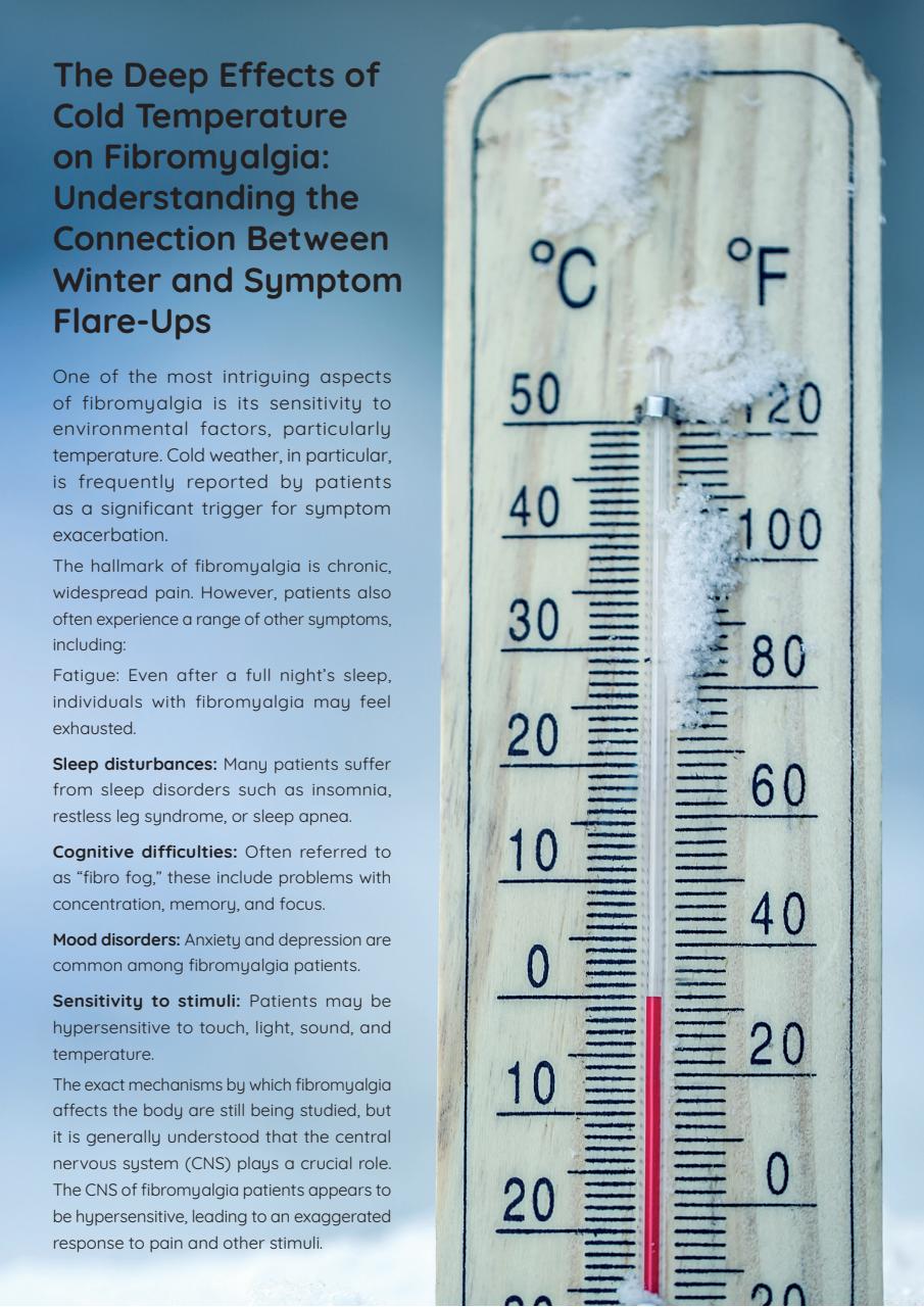 Fibromyalgia Magazine Preview Pages