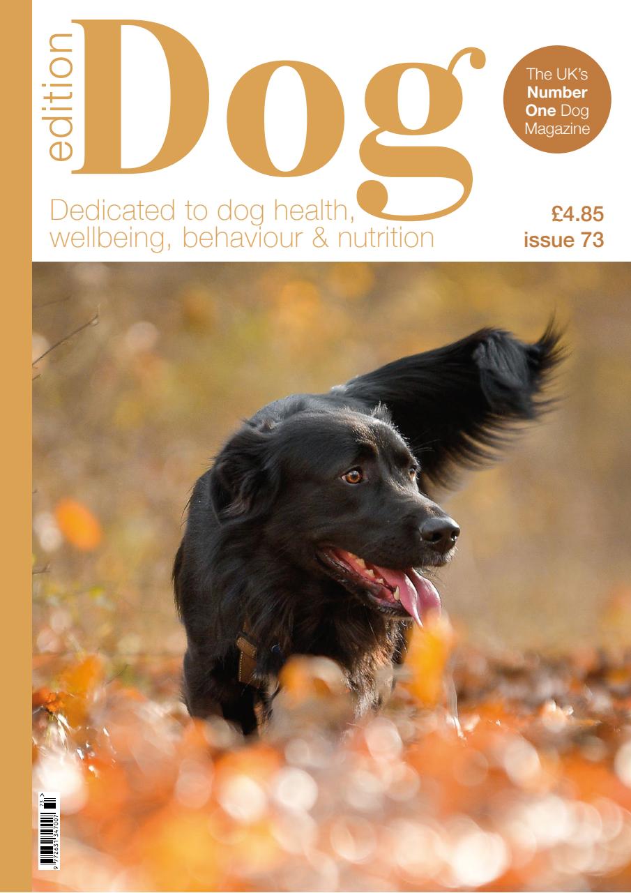 Edition Dog Preview Pages