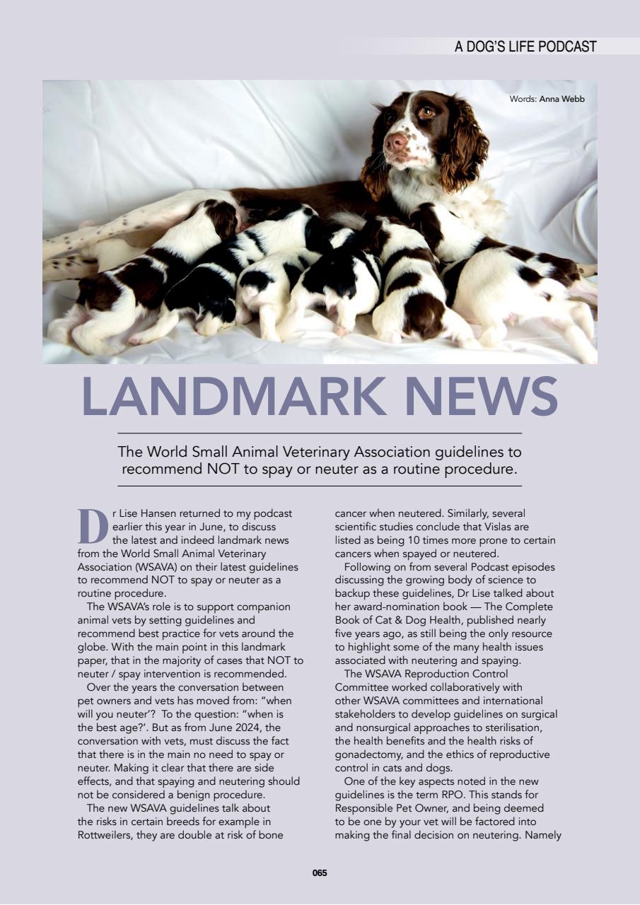 Edition Dog Preview Pages