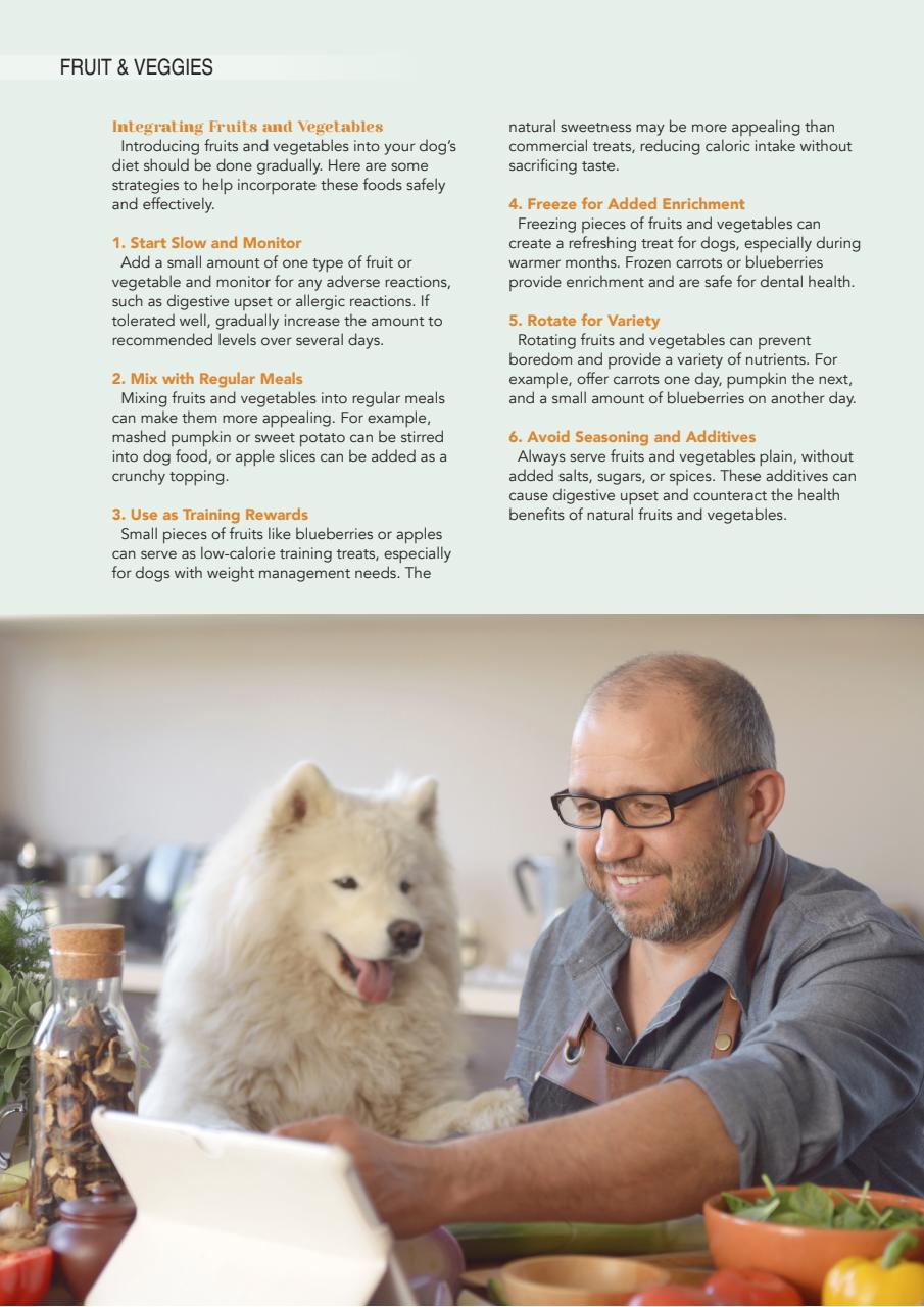 Edition Dog Preview Pages