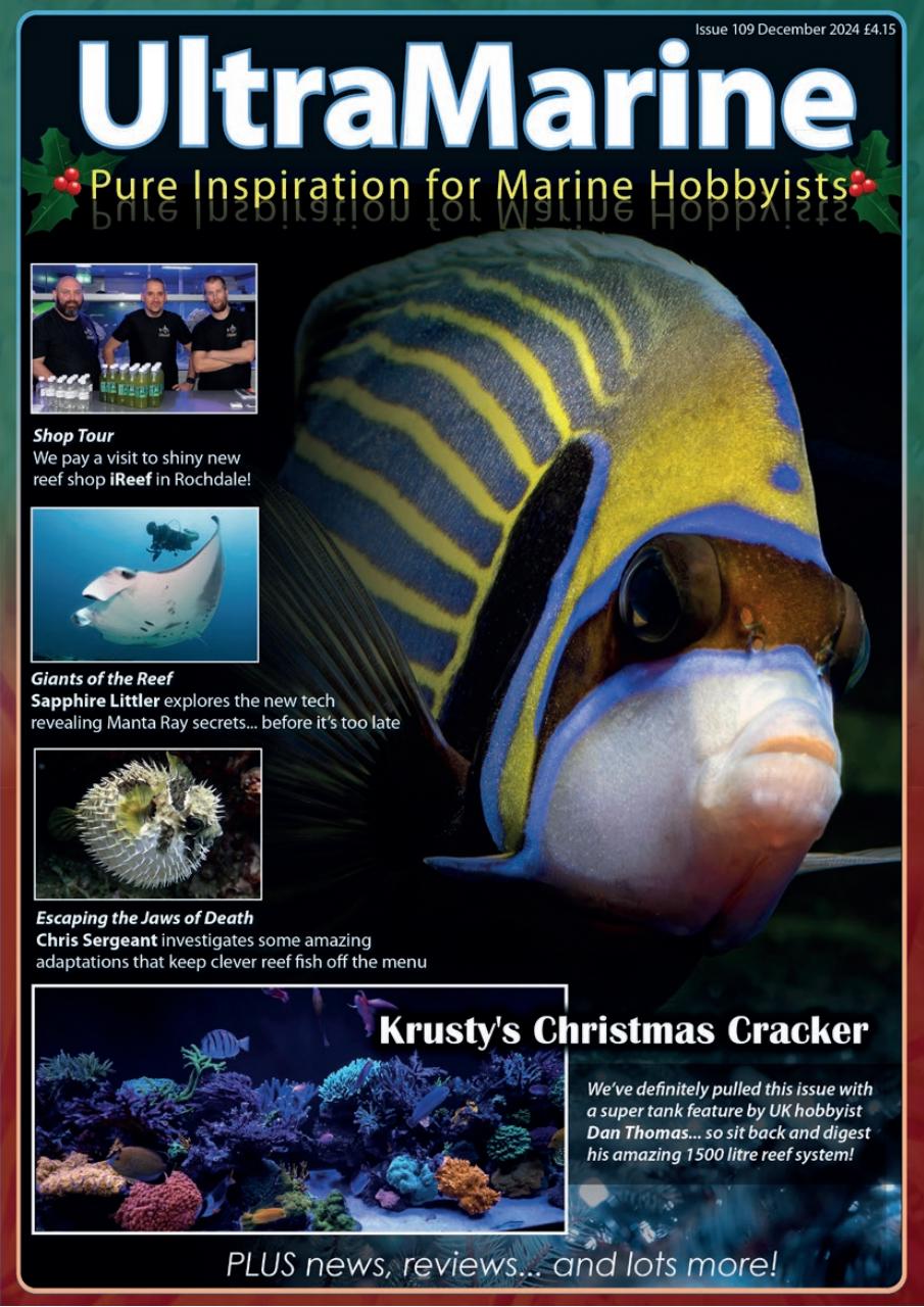 UltraMarine Magazine Preview Pages