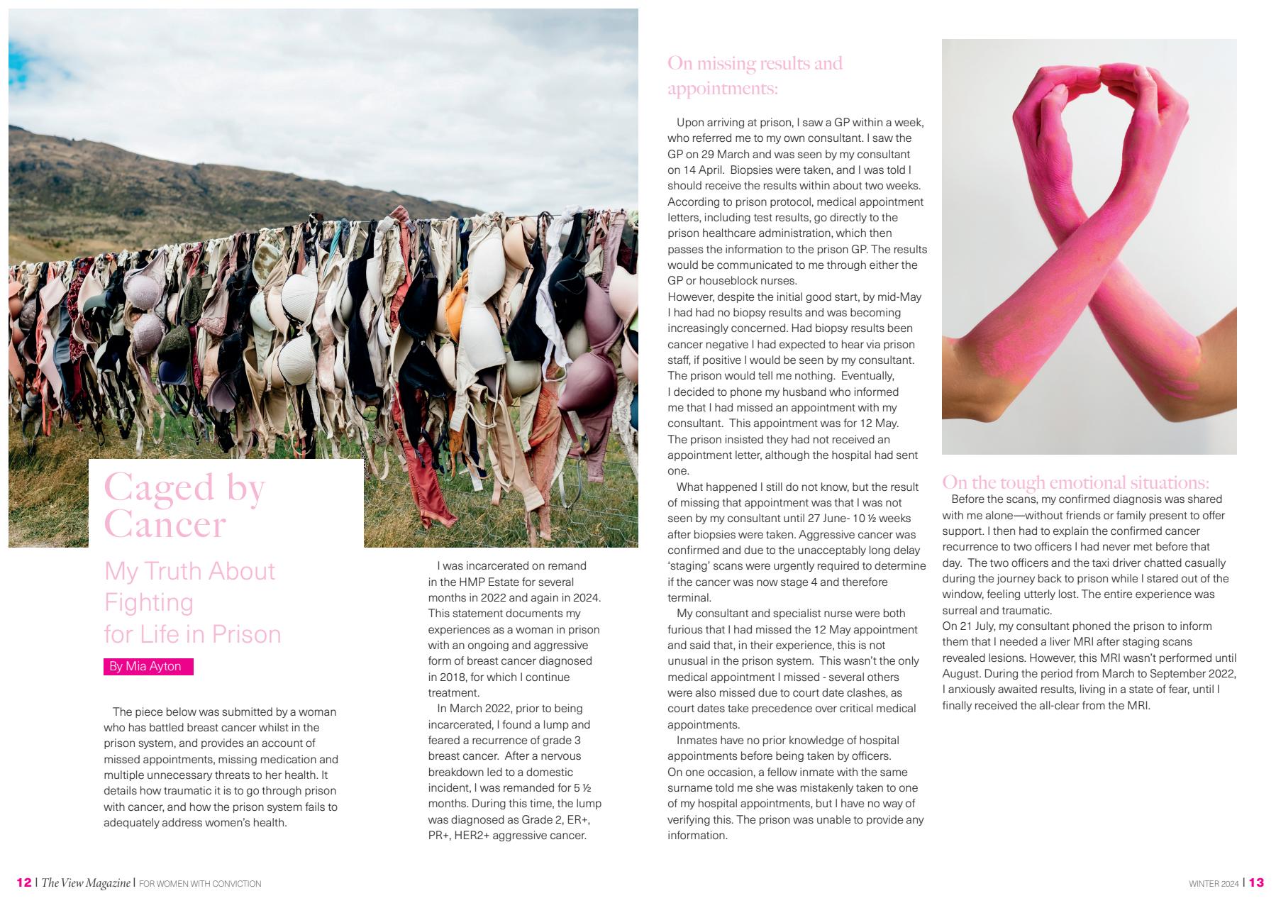 The View Magazine Preview Pages