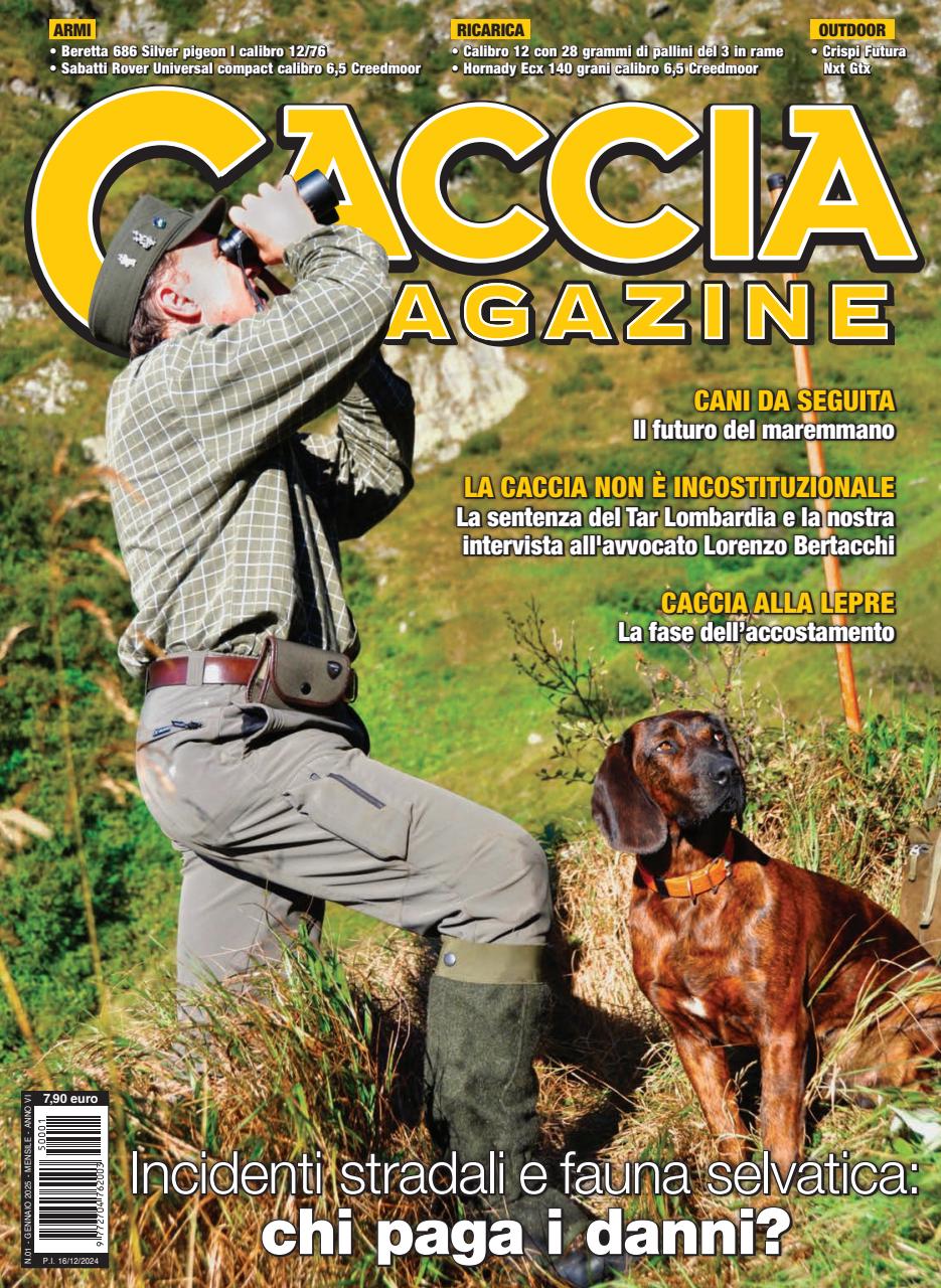 Caccia Magazine Preview Pages