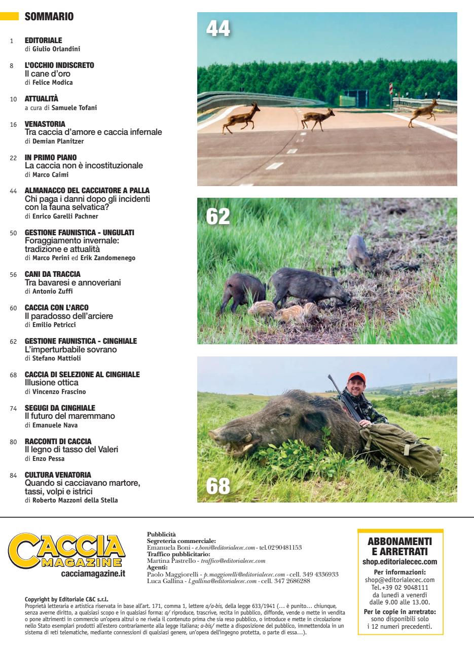 Caccia Magazine Preview Pages