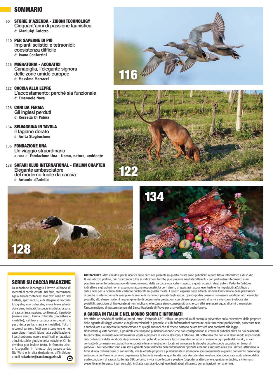 Caccia Magazine Preview Pages