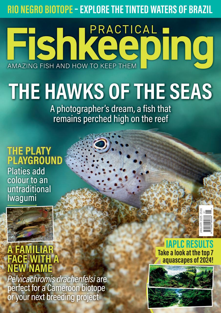 Practical Fishkeeping Preview Pages