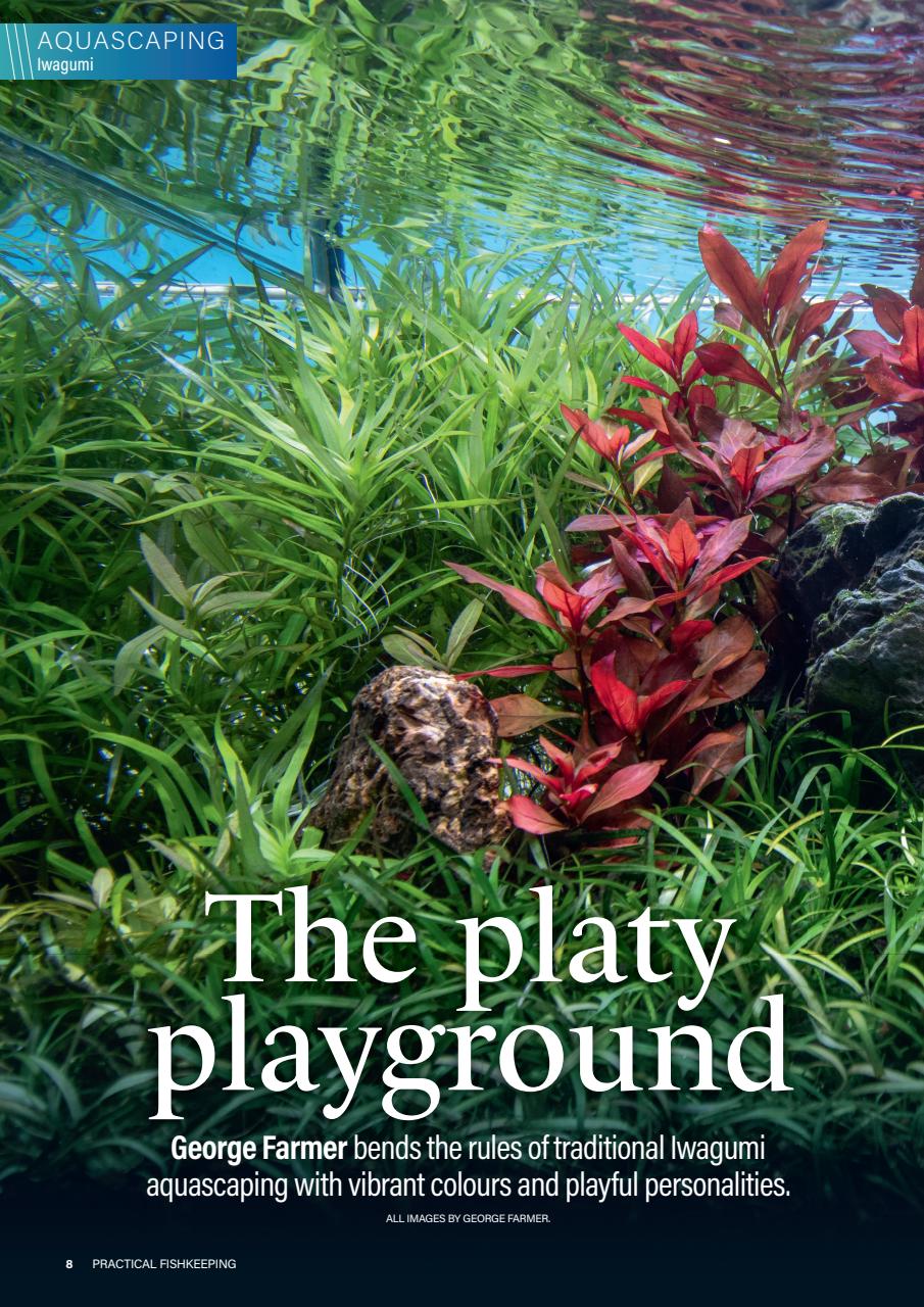 Practical Fishkeeping Preview Pages