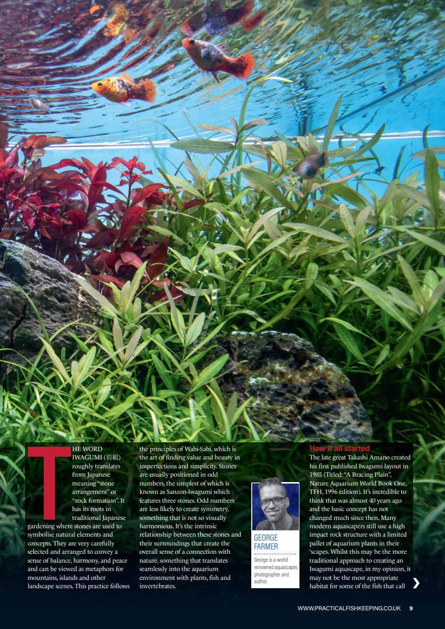 Practical Fishkeeping Preview Pages