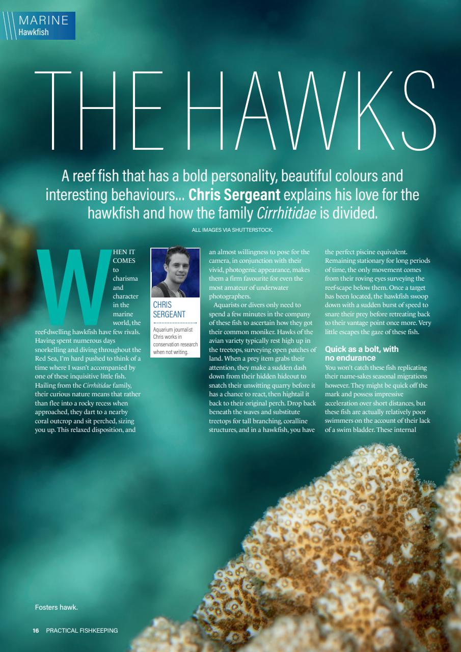 Practical Fishkeeping Preview Pages