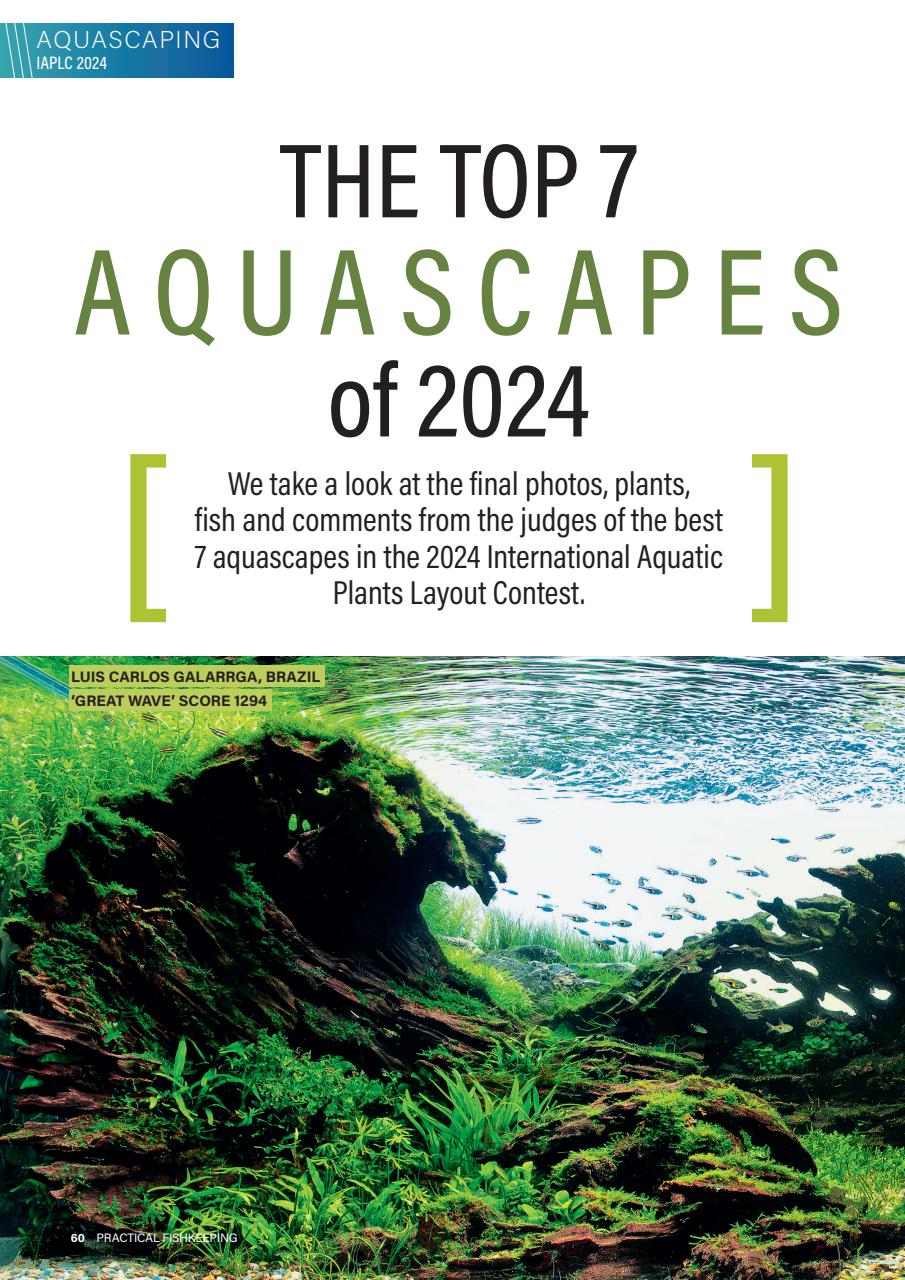 Practical Fishkeeping Preview Pages