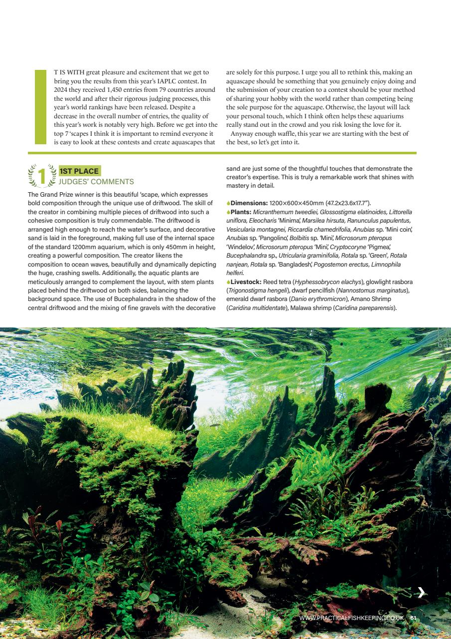 Practical Fishkeeping Preview Pages